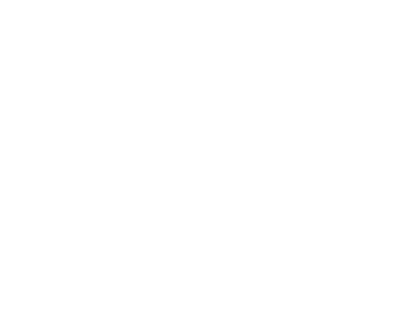 StrengthTech